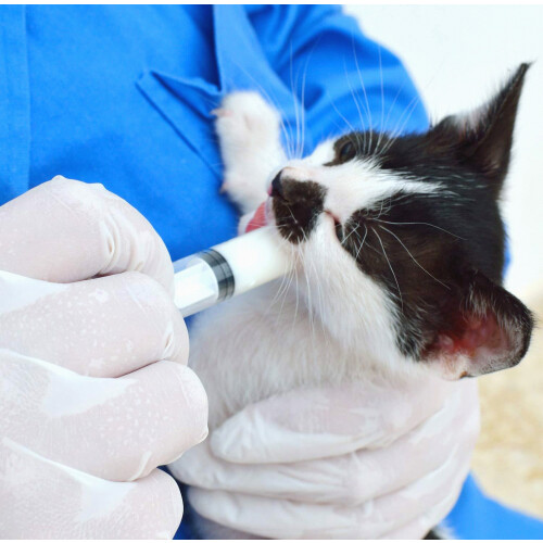 Σύριγγες 1ml/3ml/5ml Σύριγγες για το πρωτόγαλα με 2