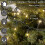 1500 LED Multi Action String Lights Warm White 1