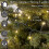 500 LED Multi Action String Lights Warm White 1