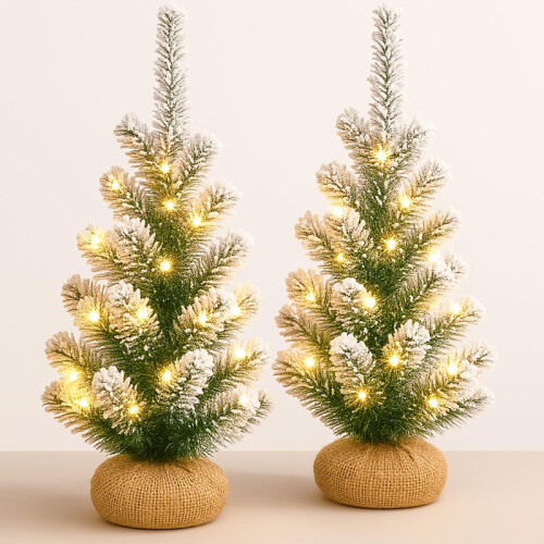 2 Pack 2FT Pre Lit Frosted Mini Trees 2