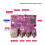 For Raspberry Pi Zero 100Mbps Ethernet Expansion Board with 3-Port USB 2.0 Hub+Type C Expansion Board 4