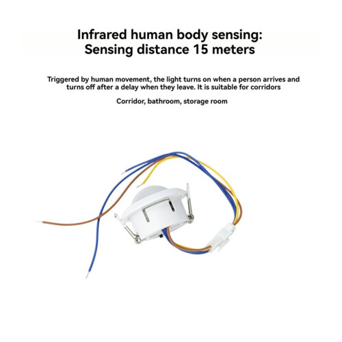 AC85-265V PIR Motion Sensor  Delayed Automatic Control for Incandescent -Saving Ceiling and LED Light