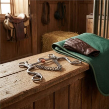 Western Riding Bit - Durable, Stainless Steel, Suitable for Training and Show Rings,Stainless Steel Training Bit