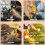 180Pcs 18 Sizes Electric Motor Carbon Brushes Replacement for Hammer Drills Circular Saws Power Tool 5