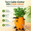 Pineapple Cable Management Box, Desktop Charging Cable Organizer for Home School Travel 15