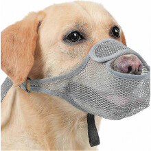 Muselière respirante en maille pour chien, sangle anti-morsure, cage de protection contre le fouissage, masque buccal pour animaux de c