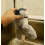 Electronic Interactive Flying Bird Cat Toy Hanging Pet Flapping Wings Sparrow 4