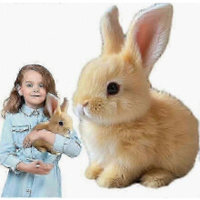 Lapin en peluche électrique qui saute, bouge les oreilles et émet des sons, jouet interactif pour enfants WSLIHV