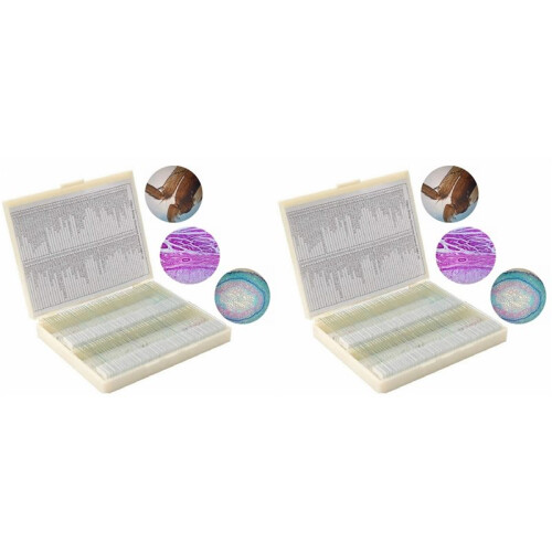 200PC Prepared Slices Microscope Slides Plants Animal Human Specimen Sample Section for Student Lab