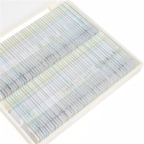 200PC Prepared Slices Microscope Slides Plants Animal Human Specimen Sample Section for Student Lab 2