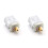 2X Replacement Motor for 1021293 Tailgate Trunk Door Lock Motor for  3rd Generation 1