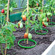 10-Pack Planting Grow Rings, Round Plant Support Rings Garden Protector & Edging, Deep Watering for Vegetables