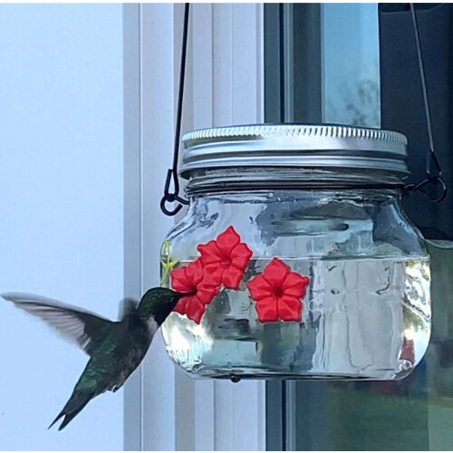 Ulkoilmalasipurkkiin tarkoitettu kolibri-syöttölaite, päivitys, syött 1