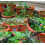 40m+10m Drip Irrigation Kit, Adjustable Irrigation Kit, Irrigation System, Micro Irrigation Kit Compatible Automatic Irrigation System Installed In G 5