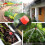 Kit d'irrigation goutte à goutte 40 m + 10 m, système d'irrigation, kit de micro-irrigation compati 4