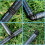 Kit d'irrigation goutte à goutte, kit d'irrigation réglable, système d'irrigation, 6 robinets, 16 r 4