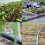 Kit d'irrigation goutte à goutte, kit d'irrigation réglable, système d'irrigation, 6 robinets, 16 r 5