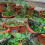 Kit d'irrigation goutte à goutte, kit d'irrigation réglable, système d'irrigation, kit de micro-irr 4