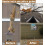 Deflectores para ardillas compatibles con comederos para pájaros, def 2