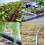 Kit d'irrigation goutte à goutte, kit d'irrigation réglable, système d'irrigation, 6 robinets, 16 r 5