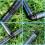 Kit d'irrigation goutte à goutte, kit d'irrigation réglable, système d'irrigation, 6 robinets, 16 r 4