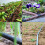 Kit d'irrigation goutte à goutte, kit d'irrigation réglable, système d'irrigation, 6 robinets, 16 r 5
