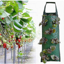 Strawberry Planting Bag, 3 Pieces Hanging Strawberry Grow Bags, Planting Bag, with 8 Holes, Vegetable Garden Grow Bag, Reusable for Str