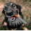 2025 Squeaky Cigar Shaped Dog Chew Toy 5