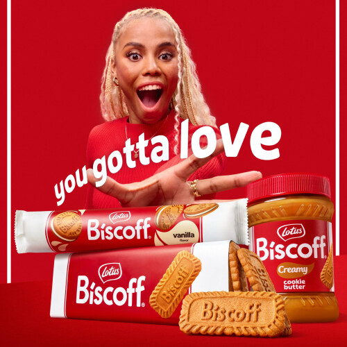 Biscoff Original Caramelised Single Biscuits (Pack of 300 - catering size) 2