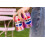 Pepsi Pepsi Raspberry Ripple Ice Cream Flavour Cola | 330ml Can | 24 Pack 6
