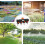 4-way Water Distributor,continuously Adjustable Water Distributor With 3/4" Quick Coupling,4-way Garden Hose,4-compartment Distributor 5