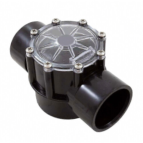 2 Inch CPVC Pool Check Valve Straight