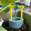 Irrigatore automatico per piante - Mini paletto di irrigazione per piante grasse e da interno 3