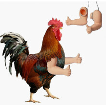 Brazos, Brazos de pollo musculosos, juguetes de pollo, 2 piezas para que los pollos los usen, juguetes de pollo para pelear a puñetazos