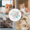 Interactive Cat Toy Smart Motion Sensor 3 Modes Motion-Activated Cat Hunting Toy 2