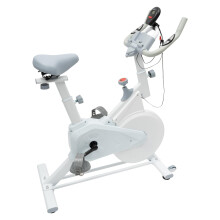 Exercise Bike for Home Use,Indoor Safe Riding Adjustable Silent Fixed Bicycle,85 * 45 * 110cm Floor mounted anti slip rubber mat for home training bic