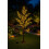 Spot On Dealz 1.2m Solar Powered Olive Tree 150 Microdot LED 4