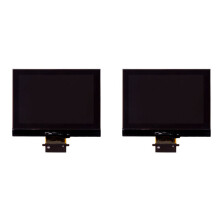 2X LCD-Instrumententafel-Bildschirm für B6, 5 und