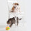 Interactive Cat Ball Toy Automatic Rolling Light Up Pet Toy with Remote Control 5
