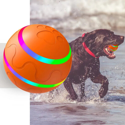 Interactive Cat Ball Toy Automatic Rolling Light Up Pet Toy with Remote Control