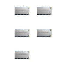 5X LoRa2021F33-2G4 1W High Power LoRa Module FLRC to 2.6Mbps, Sub-GHz Sensitivity to -144dBm LR2021 Chipset 915MHz