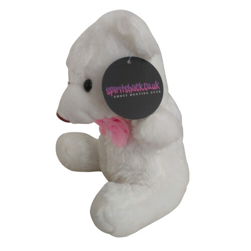 TOUCH ACTIVATED GHOST HUNTING BEAR (EXTREMELY SENSITIVE) POD KII K2 EMF REM PARANORMAL EQUIPMENT 1