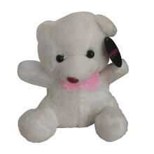 TOUCH ACTIVATED GHOST HUNTING BEAR (EXTREMELY SENSITIVE) POD KII K2 EMF REM PARANORMAL EQUIPMENT