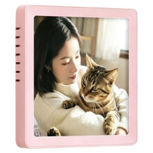 Haut-Parleur Sans Fil Magnétique, Cadre Photo pour Animaux de Compagnie, Aimant pour Réfrigérateur, Lecture Audio Via Carte Mémoire, Rose