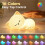 Cadeaux Chat Mignon Endormi - Veilleuse en Silicone 16 Couleurs avec Télécommande 8