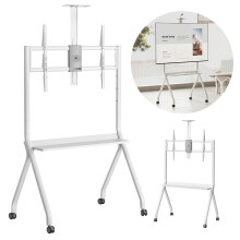 Maclean TV stand / cart camera shelf on casters 55-100 max load 120kg/10kg shelf max. VESA 900x600 white MC-114 W