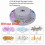 Rotatable Segmented Bracelet Sizing Mandrel , Markings 5-9 Inch with 6 Compartment Storage Base 4