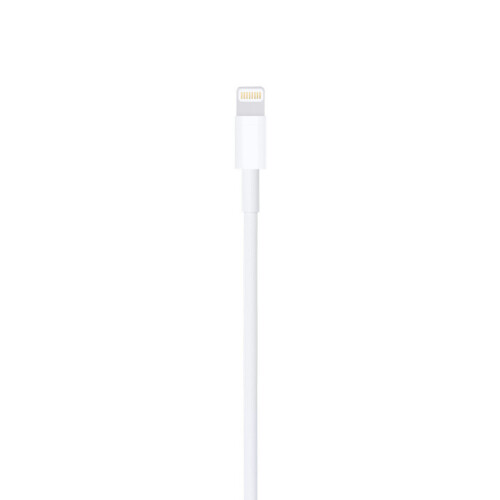 Câble de charge rapide étendu compatible avec les appareils Apple : 6s/XR/7/11/iPad 8/iPhone 2