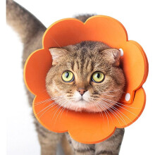 Orange protective collar for Elizabethan cats, one size, Pet Supplies, Gift for Cat Lovers, Indoor Cat Essentials, Kitten & Adult Cat Care