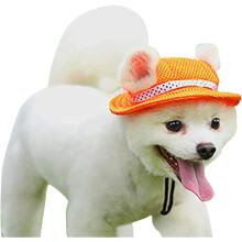 Orange Dog Sun Hat Mesh Sun Hat for Dogs and Cats, Round Pet Summer Hat, Pet Sunscreen Hat, Peaked Brim Pet Hat, Pet Supplies, Gift for Dog Owners
